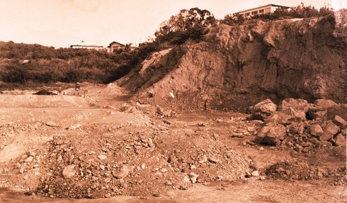 LEAD Technologies Inc. V1.01