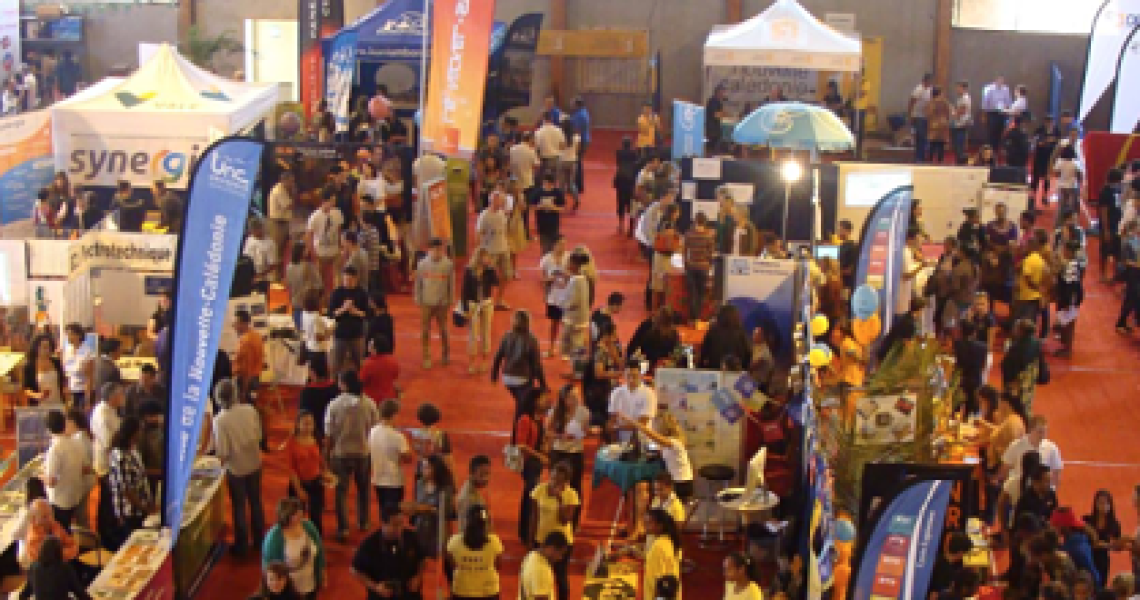 9862611-15953694_opt