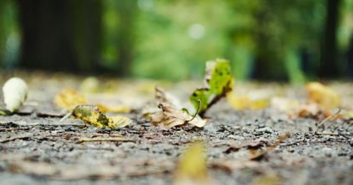 art-blur-cement-253905_opt