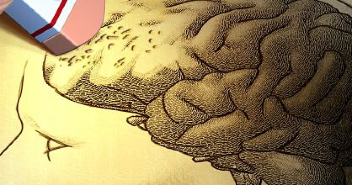 cerveau conf vignette